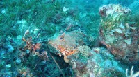 img_0065.jpg